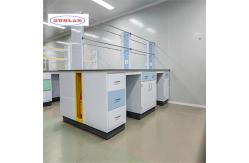 China Acceptable OEM/ODM Chemistry Lab Furniture with Storage Function supplier
