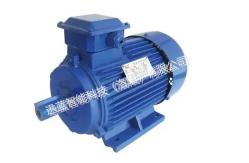 China Classical Stable Running Years Permanent Magnet Synchronous PMSM Motor supplier