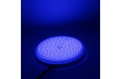 China Piscina Replacement IP68 42W Swim Pool Light supplier