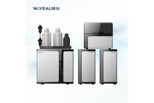 Double System Ion Chromatography Instrument With Amperometric Detectors