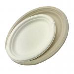100 Compostable Oval Fruit Food Paper Bagasse Sugarcane Biodegradable Plates for sale