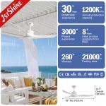 Outdoor Simple Design Waterproof ABS Blades Ceiling Fan With Remote Control