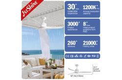 China Outdoor Simple Design Waterproof ABS Blades Ceiling Fan With Remote Control supplier