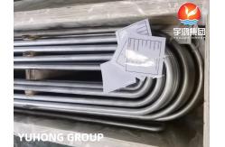 China FERRITIC STAINLESS STEEL A213 TP444 U TUBE HIGH TEMPERATURE RESISTANCE supplier