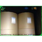 Uncoated Food Grade Paper Roll 80gsm 100gsm 120gsm In Roll / Sheet Package for sale