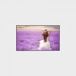 55 inch High Brirghtness LCD Display 3840*2160 V-by-One 3000 Nits Display for sale