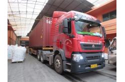 China Summit Container Loading Inspection with English Report language supplier