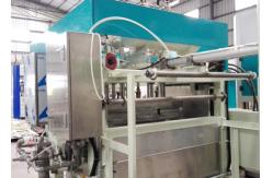 China Waste Paper Egg Tray Making Machine Shoe Tree Molded Pulp Equipment supplier