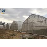 PE PO Film Tunnel Greenhouse Commercial Agricultural Greenhouse Customizable for sale