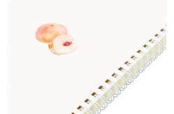 China Art diy Spiral Bound Book custom spiral binding book printing supplier