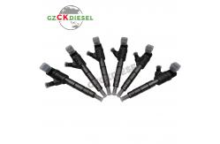 China Fuel Injector 0445110346 0445110347 0445110355 0445110357 for Bosch 110 Series supplier