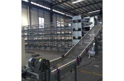 China Anti Corrosion Steady Automatic Egg Collection System Low Energy Consumption supplier
