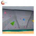 Colorful Reinforced Fiberglass Climbing Holds Rock Wall Climbing Holds for sale