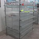 576 Quails Quail Cage H Type 6 Tier Automated Controlled System for sale