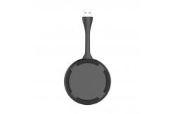 China PnP USB Transmitter Screen Share Device , Wireless Presentation System 2.4G Wifi supplier