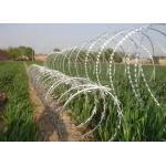 Straight Line Razor Barbed Wire In Concertina Single Coils Or Crossed for sale