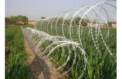 China Straight Line Razor Barbed Wire In Concertina Single Coils Or Crossed supplier