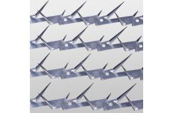 China Length 1.25m Fence Security Spikes Iron Wire Anti Climb Wall Spikes supplier