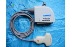 China Siemens CH5-2 Convex Abdominal Ultrasound Probe G40 G60 X150 X300 supplier