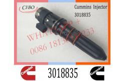 China Fuel Injector Cum - Mins NT855 Common Rail Injector 3018835 3054250 supplier