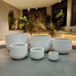 Revolutionize Your Planting Process with Our Fiber Clay Planter at Affordable Prices