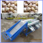 Garlic grading machine , onion sorting machine for sale