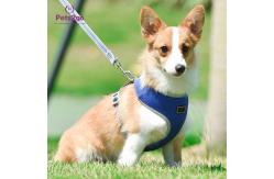 China Lightweight Best Dog Harness For Puppies Cute Puppy Harness Dog Harness For Hiking supplier