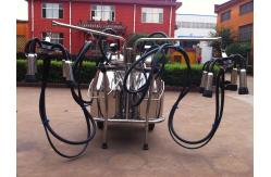 China Portable Food Grade SS Mobile Milking Machine With Gasoline Engine supplier