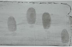 China C051 Black adhesive side latent print developer supplier
