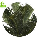 Supplier Height 500cm Artificial Date Palm Tree High Quality Outdoor Tropical Tree