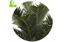 China Supplier Height 500cm Artificial Date Palm Tree High Quality Outdoor Tropical Tree supplier