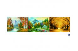 China 3D 30x40cm Triple Transition Flower Wall Poster 3 Images For Restaurant supplier