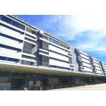 International Logistics Services China Import Agent Timely Feedback for sale
