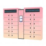 Goods Smart Refrigerated Locker Smart Electronic Vegetable Frozen for sale