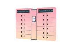 China Goods Smart Refrigerated Locker Smart Electronic Vegetable Frozen supplier