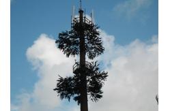 China Pine Tree 50m Camouflage Cell Tower For Telecommunication supplier