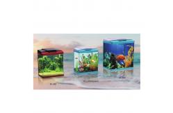 China Transparent Acrylic Aquarium Fish Tank 738L Rectangular Shape supplier