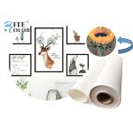 Inkjet 260gsm Polyester Canvas Rolls Matte Water Based Waterproof Stretched