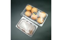 China BOPS Lid Disposable Plastic Boxes supplier
