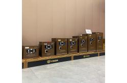 China Dual Alarm Fingerprint Lock luxury Home Safe Box YB/N6-35#---180# supplier