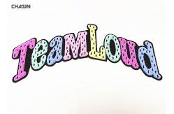 China Custom 12 Width Chenille Embroidery Patches Personalized Letter For T - Shirt supplier