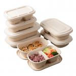 Take Away Compostable Sugarcane Container Lunch 2 Compartment Food Containers for sale