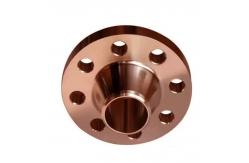 China Exceptional Thermal Stability Copper Nickel Flange ASME B16.5 Class150 supplier