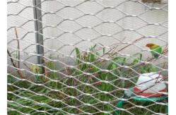 China High Intensity Stainless Steel Trellis Abrasion Resistant Without Toxic Material supplier