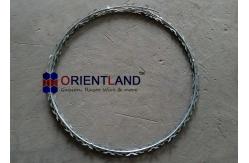 China Sharp Helical Cbt60 Concertina Razor Barbed Wire Hot Rich Galvanized Steel supplier