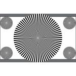 Reflective / Transmisive Camera Lens Test Chart 16/9 72 Sectors Reflectance YE0161 for sale