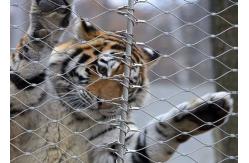 China Monkey Tiger Zoo 1.2mm 7 X 7 Animal Enclosure Mesh supplier