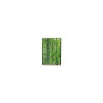 LS055D1SX04 5.5 inch 4K LCD Screen Original LCD Panel for sale