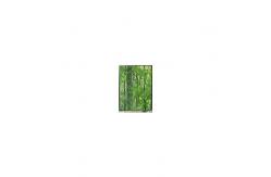 China LS055D1SX04 5.5 inch 4K LCD Screen Original LCD Panel supplier