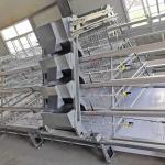 4 Tiers Baby Chick Cage for sale